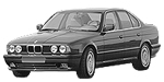 BMW E34 P010E Fault Code