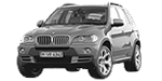 BMW E70 P010E Fault Code